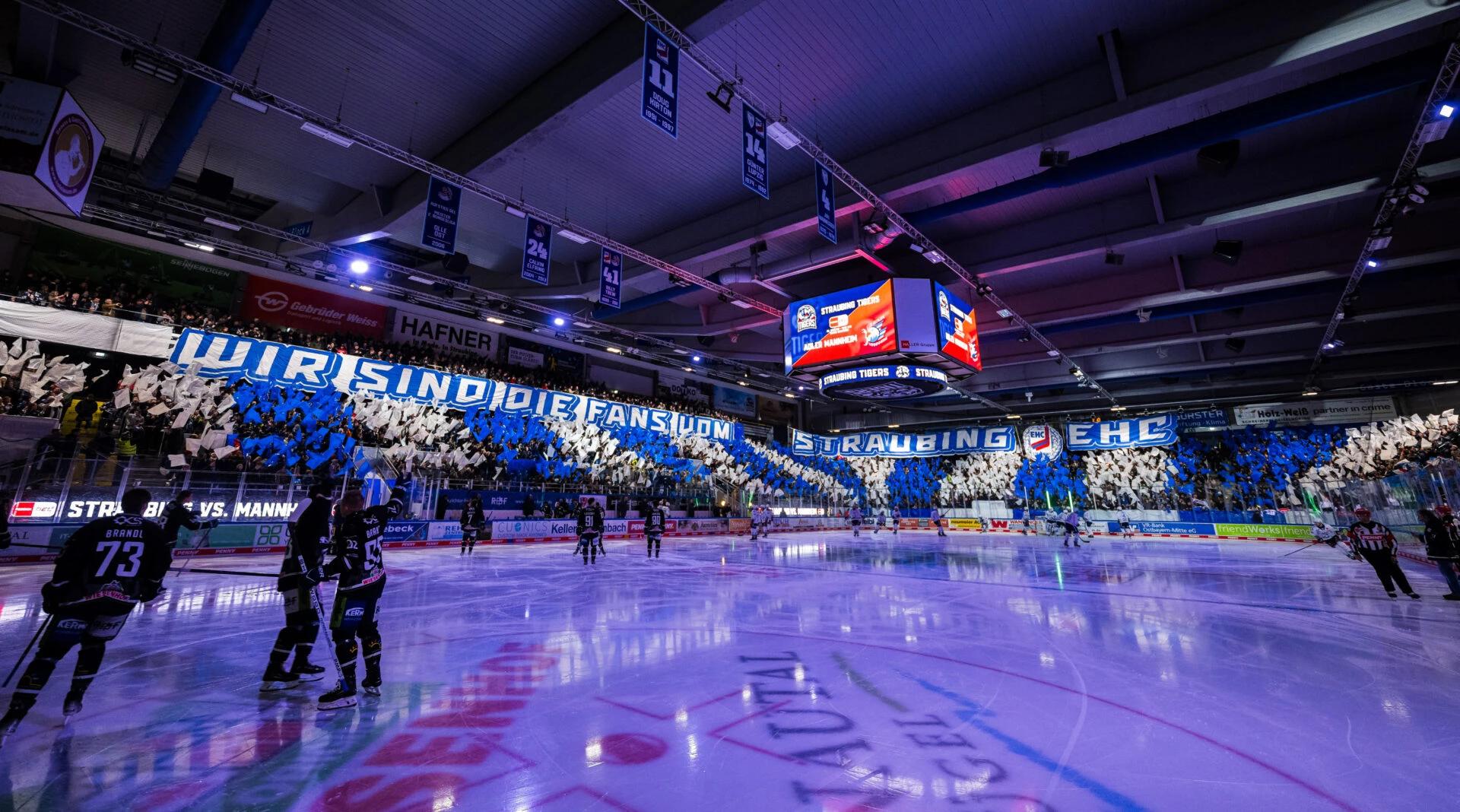 Straubing Tigers vs ERC Ingolstadt